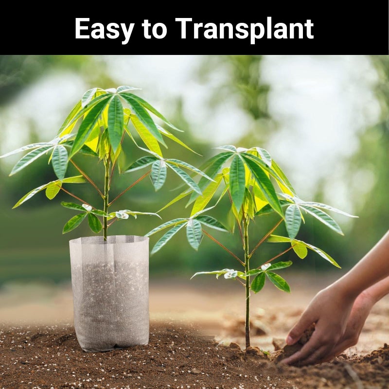 ENPOINT Nursery Grow Bags, 100 PCS Non-Woven Plants Grow Bags 7.8"x8.6", Solid Seed Starter Bags Fabric Seedling Pots Plants Pouch Home Garden Supply - Image 4